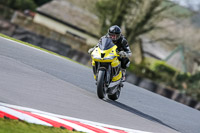 Oulton-Park-21st-March-2020;PJ-Motorsport-Photography-2020;anglesey;brands-hatch;cadwell-park;croft;donington-park;enduro-digital-images;event-digital-images;eventdigitalimages;mallory;no-limits;oulton-park;peter-wileman-photography;racing-digital-images;silverstone;snetterton;trackday-digital-images;trackday-photos;vmcc-banbury-run;welsh-2-day-enduro